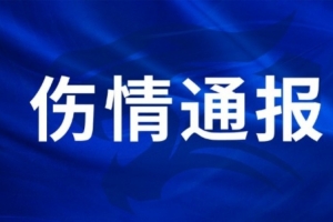 最新巴拿马vs英格兰直播在线观看在线观看_最新巴拿马vs英格兰直播在线观看在线观看在线观看_免费看直播